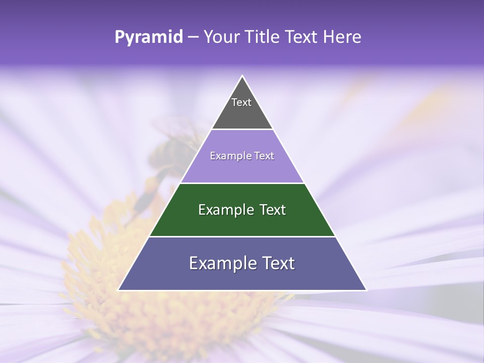 Summer Colorful Calceolaria PowerPoint Template