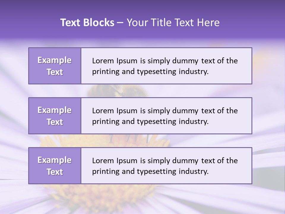 Summer Colorful Calceolaria PowerPoint Template