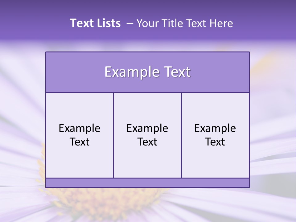 Summer Colorful Calceolaria PowerPoint Template