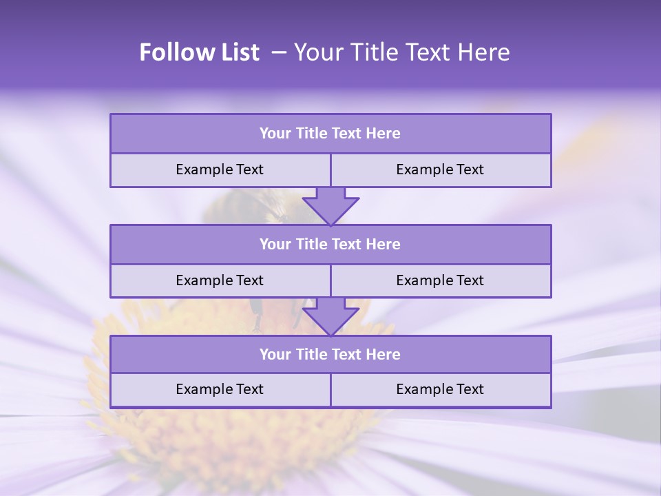 Summer Colorful Calceolaria PowerPoint Template
