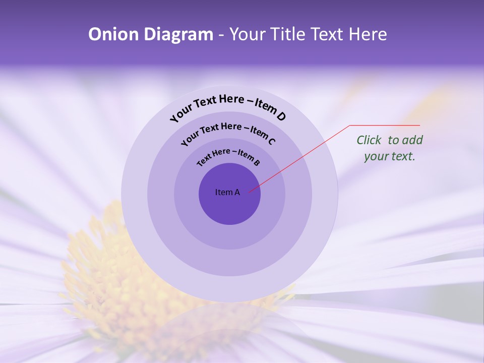 Summer Colorful Calceolaria PowerPoint Template