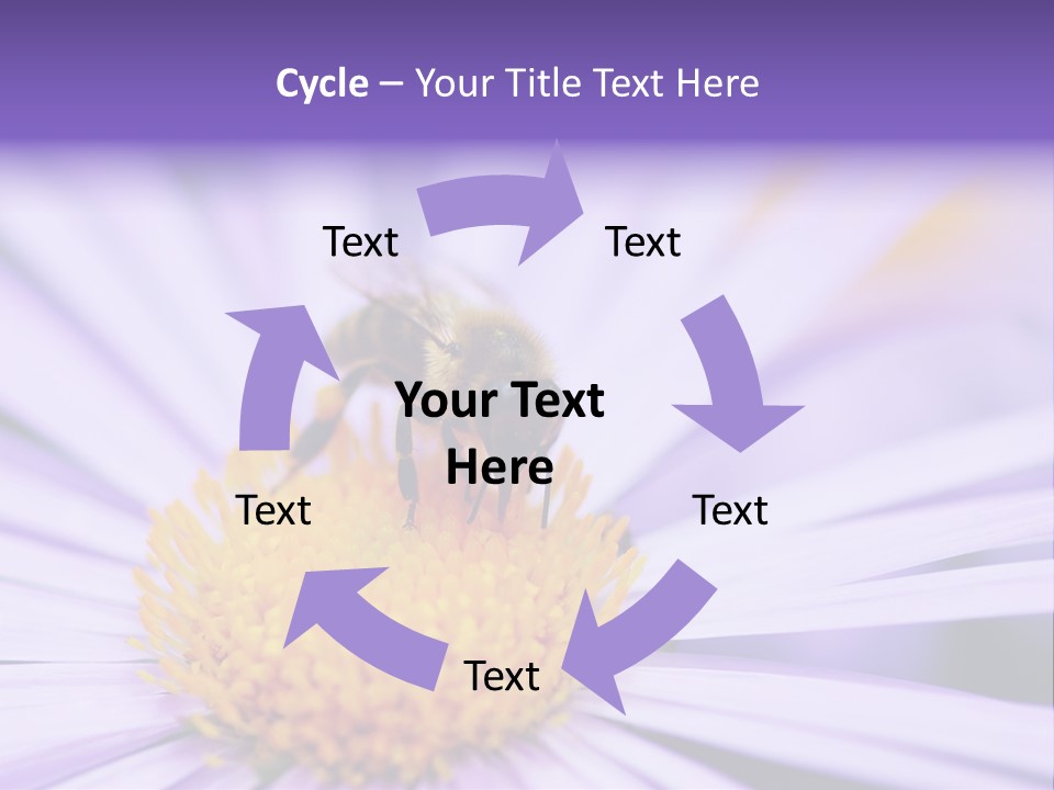 Summer Colorful Calceolaria PowerPoint Template