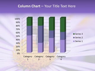 Summer Colorful Calceolaria PowerPoint Template