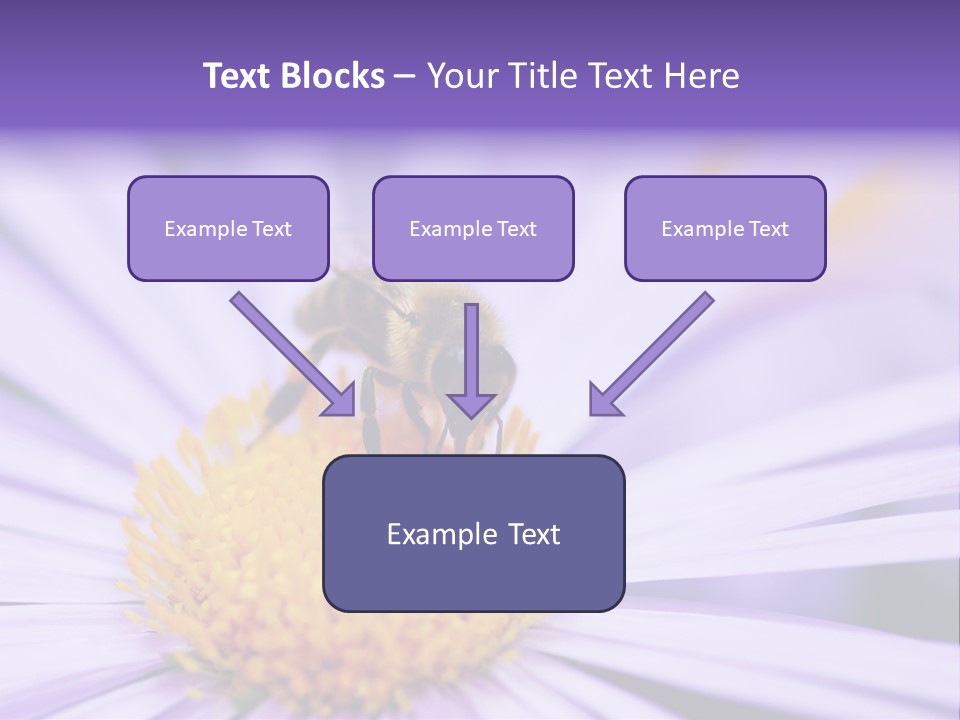 Summer Colorful Calceolaria PowerPoint Template
