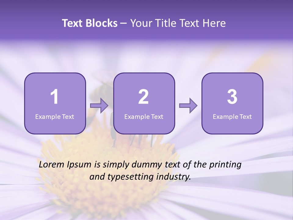 Summer Colorful Calceolaria PowerPoint Template