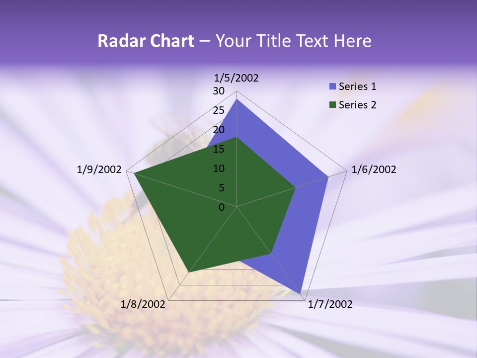 Summer Colorful Calceolaria PowerPoint Template