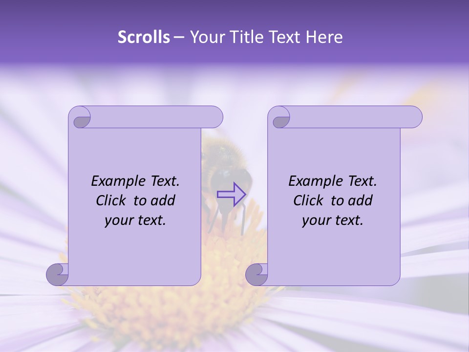 Summer Colorful Calceolaria PowerPoint Template