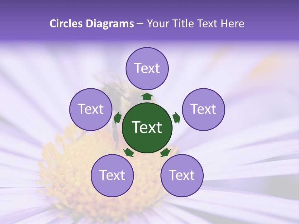 Summer Colorful Calceolaria PowerPoint Template