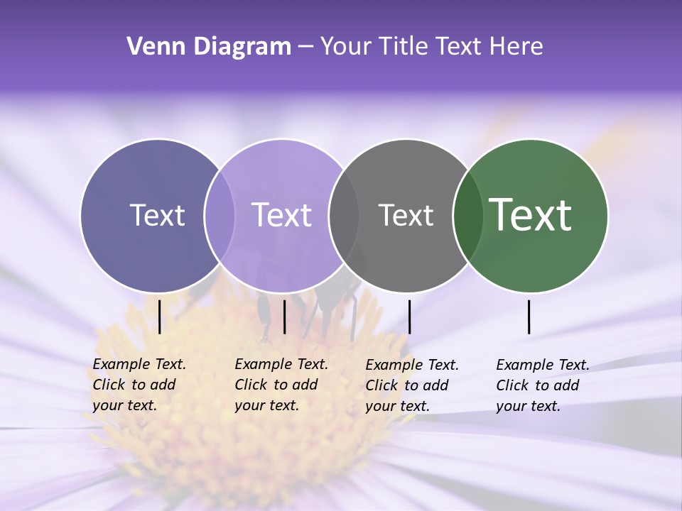 Summer Colorful Calceolaria PowerPoint Template