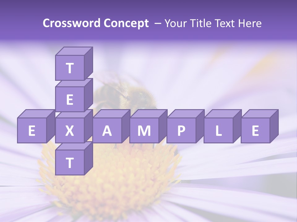 Summer Colorful Calceolaria PowerPoint Template