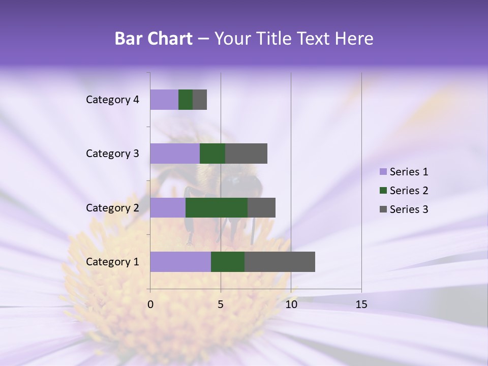 Summer Colorful Calceolaria PowerPoint Template