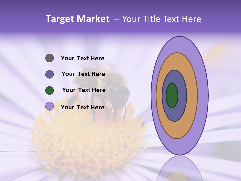 Summer Colorful Calceolaria PowerPoint Template