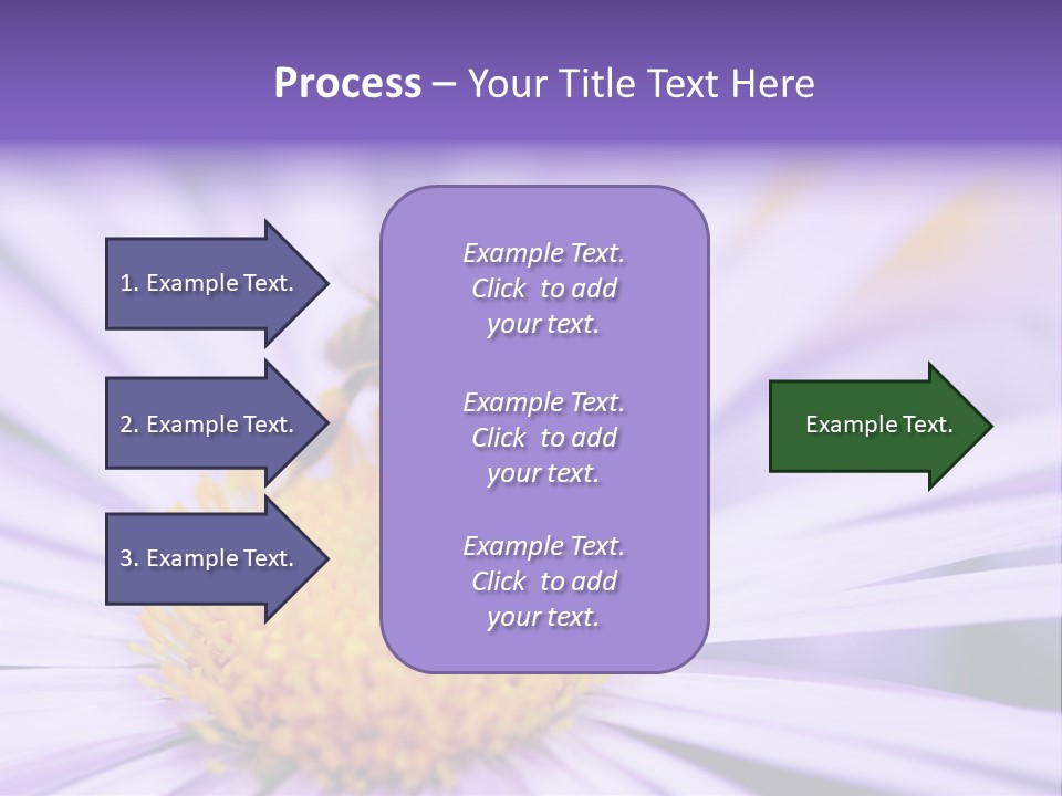 Summer Colorful Calceolaria PowerPoint Template