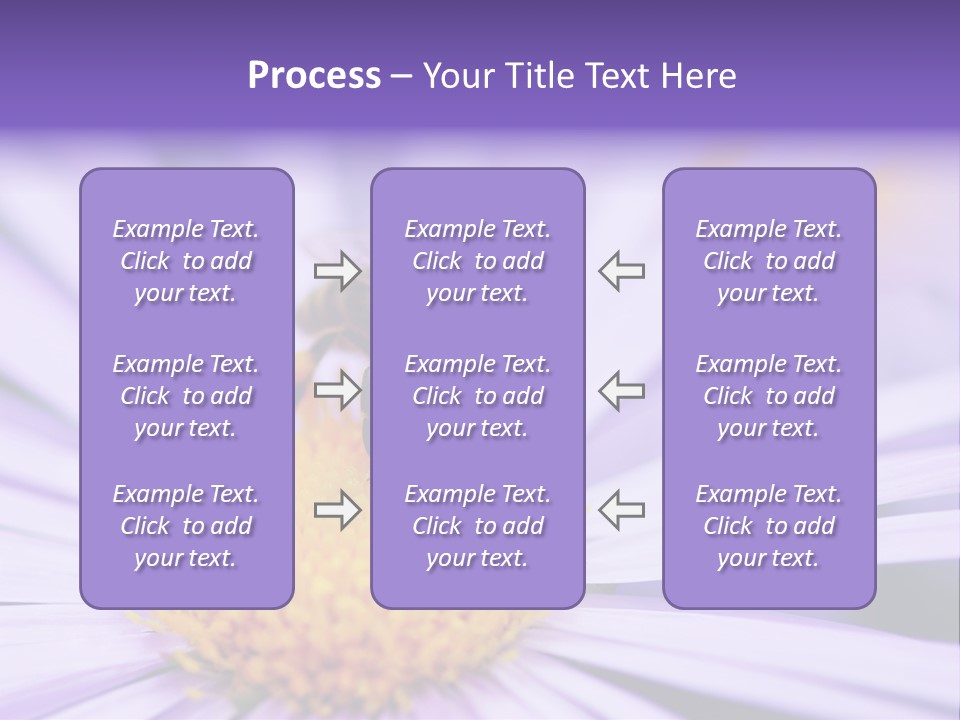 Summer Colorful Calceolaria PowerPoint Template