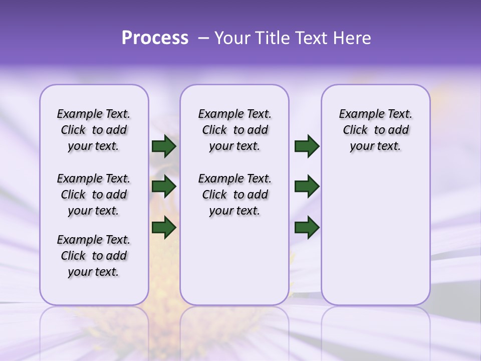Summer Colorful Calceolaria PowerPoint Template