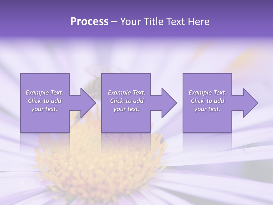 Summer Colorful Calceolaria PowerPoint Template