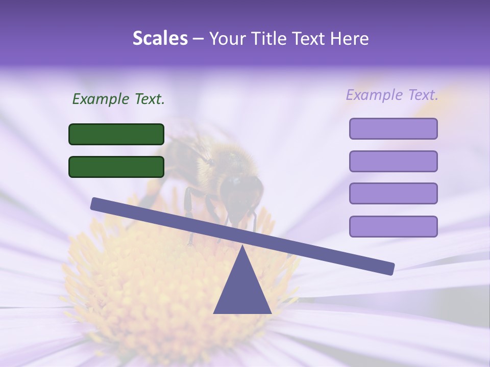 Summer Colorful Calceolaria PowerPoint Template