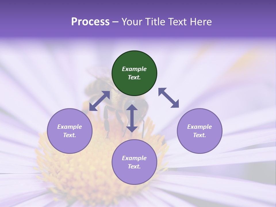 Summer Colorful Calceolaria PowerPoint Template