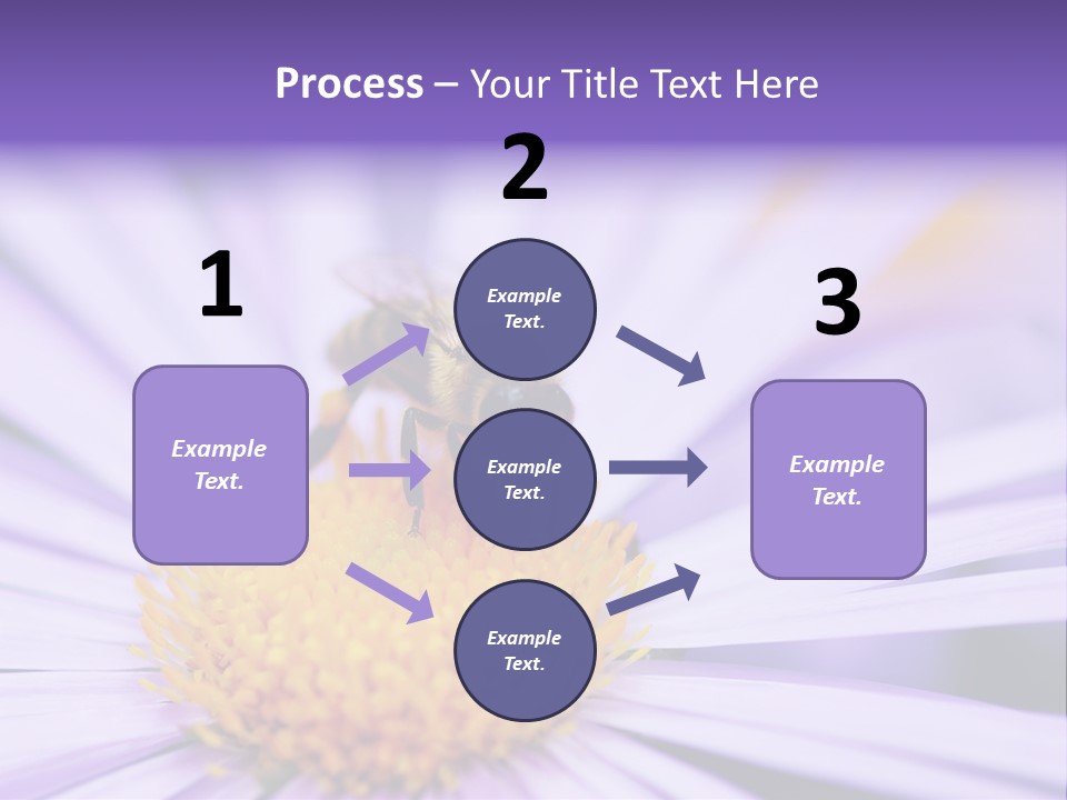 Summer Colorful Calceolaria PowerPoint Template