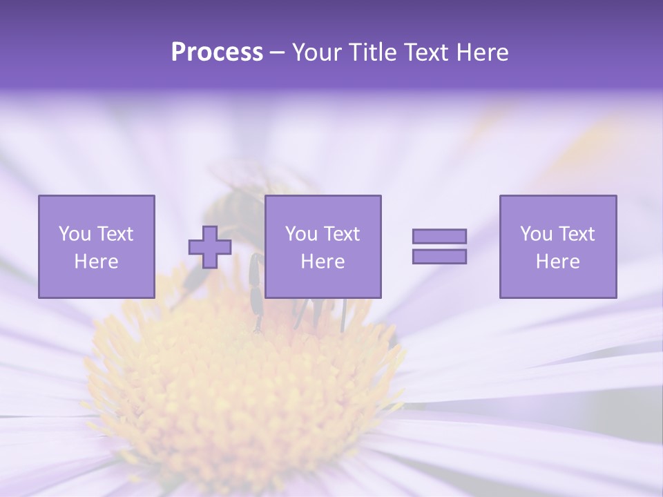 Summer Colorful Calceolaria PowerPoint Template