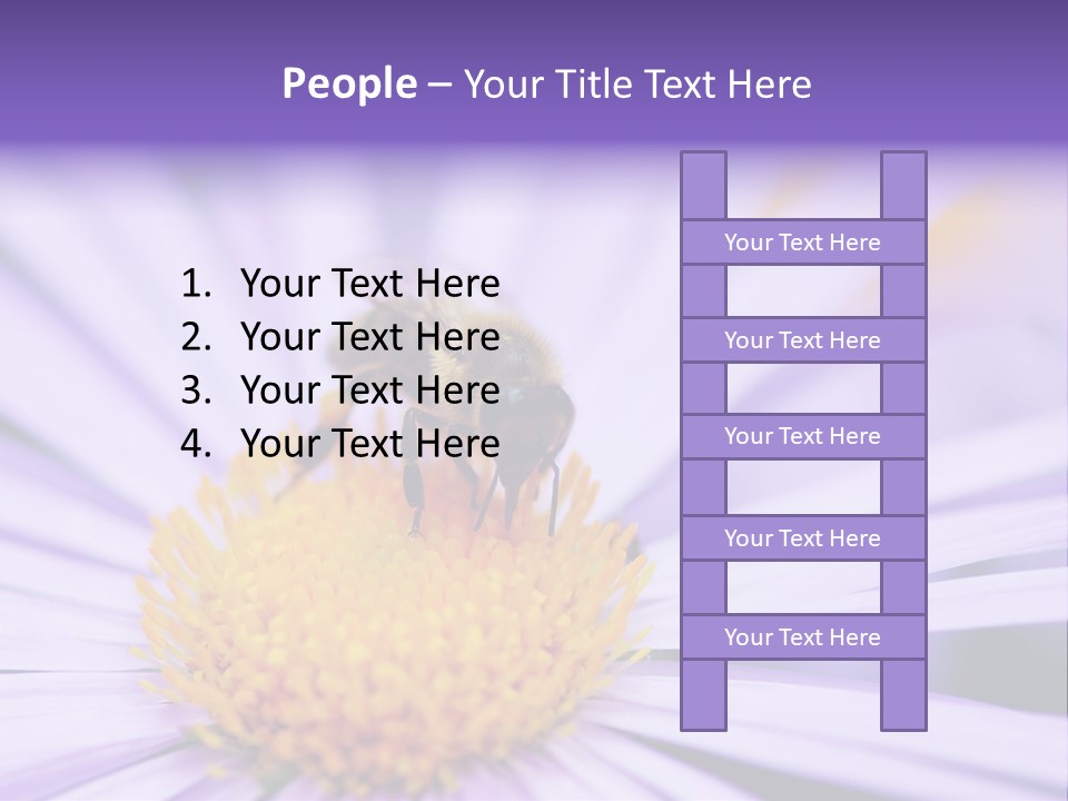 Summer Colorful Calceolaria PowerPoint Template