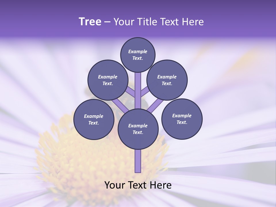 Summer Colorful Calceolaria PowerPoint Template