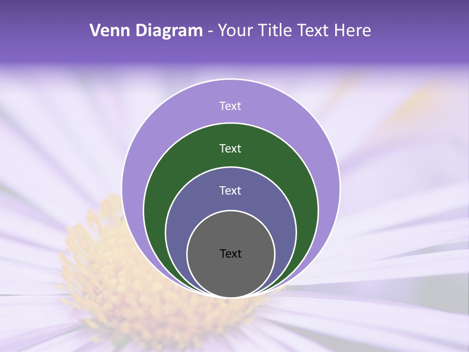 Summer Colorful Calceolaria PowerPoint Template