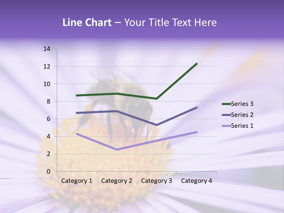Summer Colorful Calceolaria PowerPoint Template