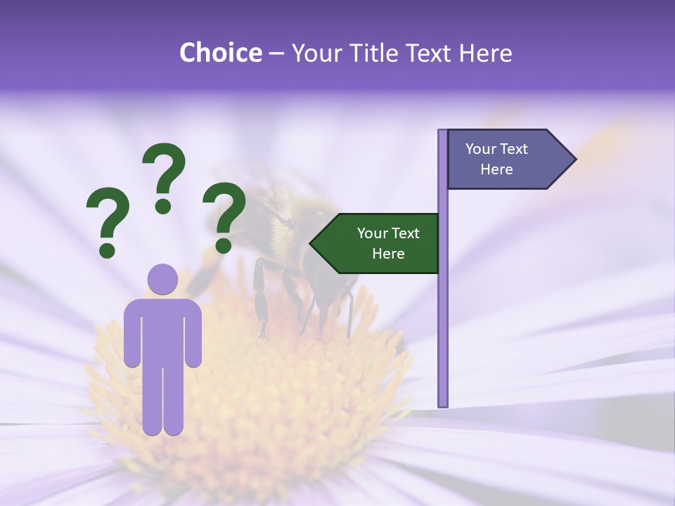 Summer Colorful Calceolaria PowerPoint Template