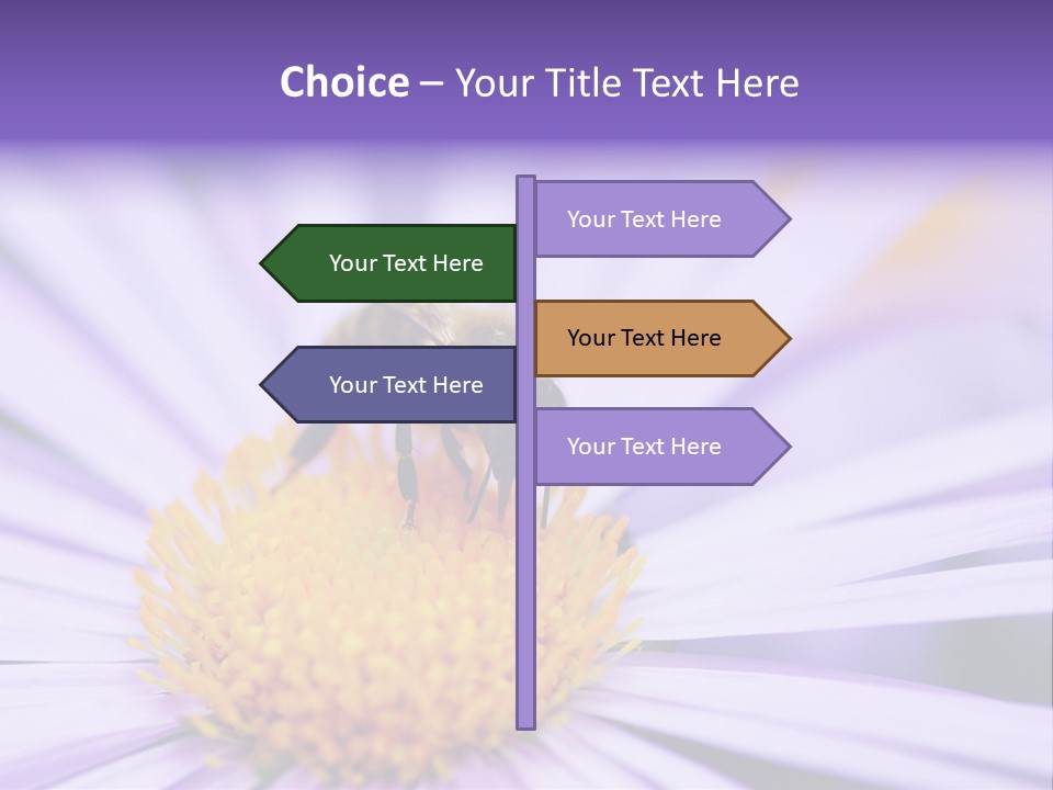 Summer Colorful Calceolaria PowerPoint Template