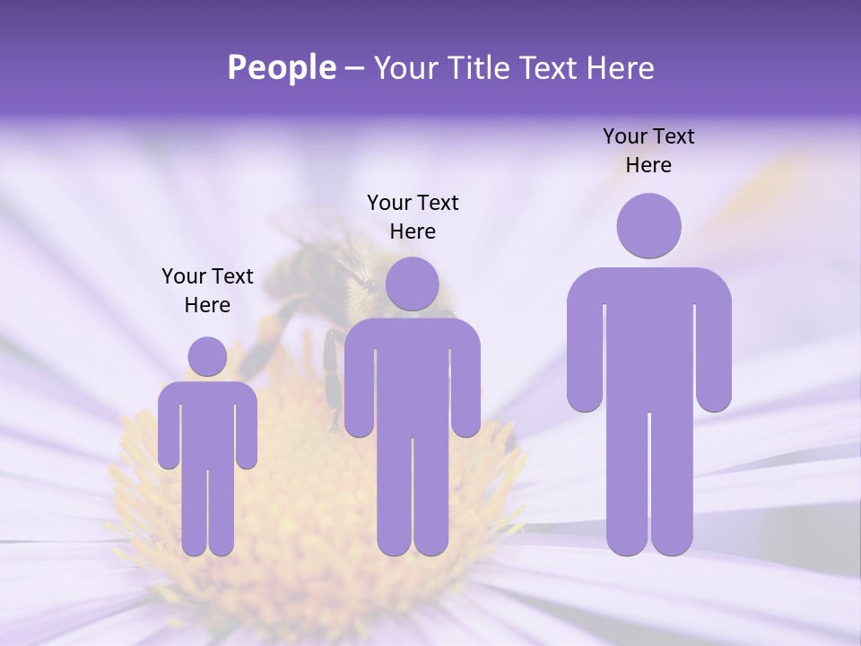 Summer Colorful Calceolaria PowerPoint Template