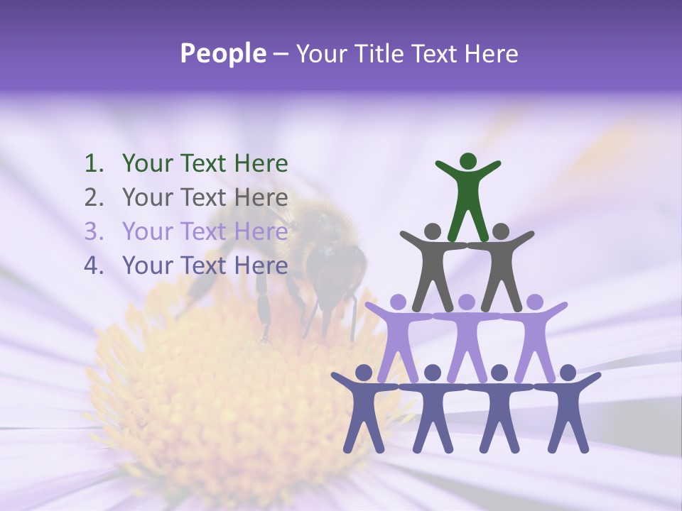 Summer Colorful Calceolaria PowerPoint Template