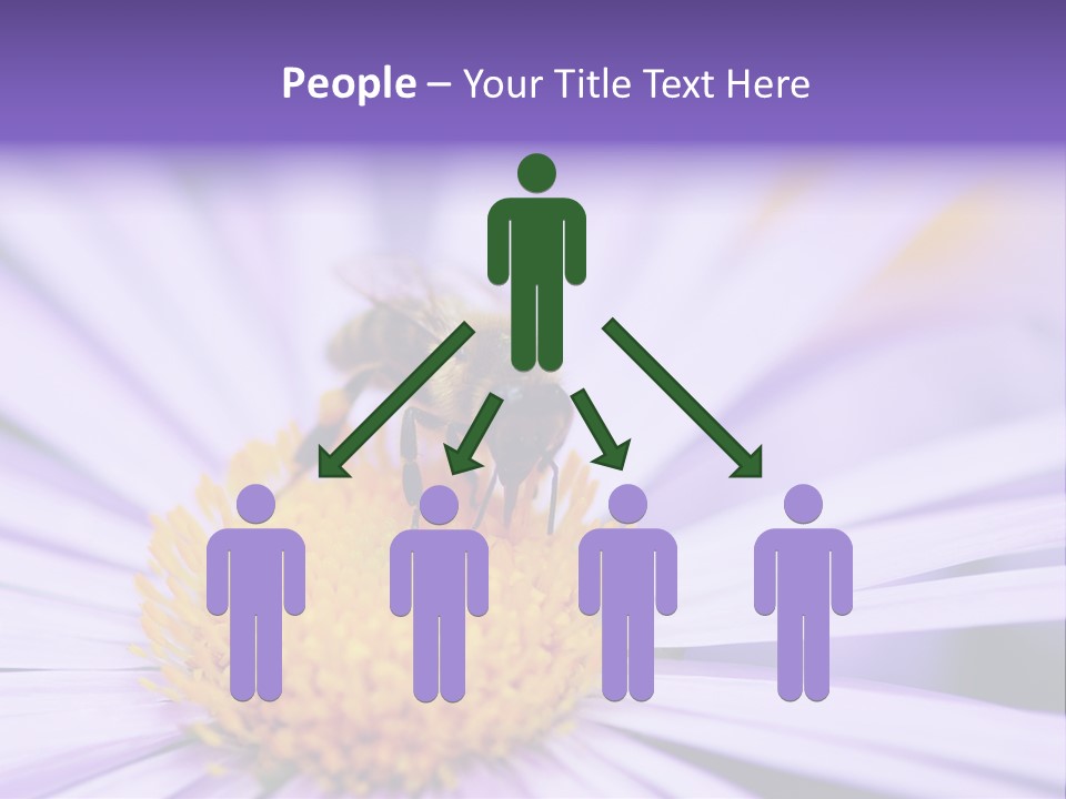 Summer Colorful Calceolaria PowerPoint Template