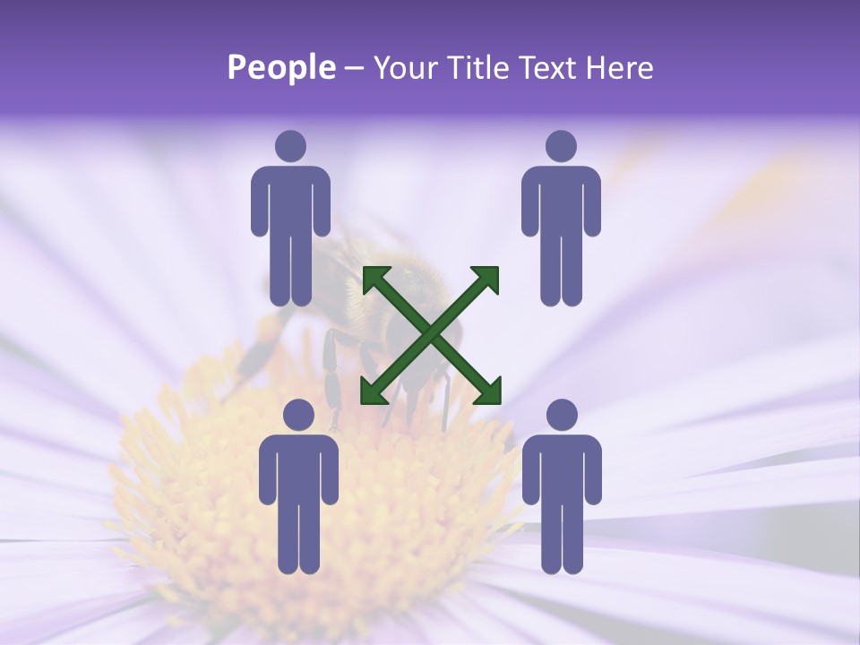 Summer Colorful Calceolaria PowerPoint Template