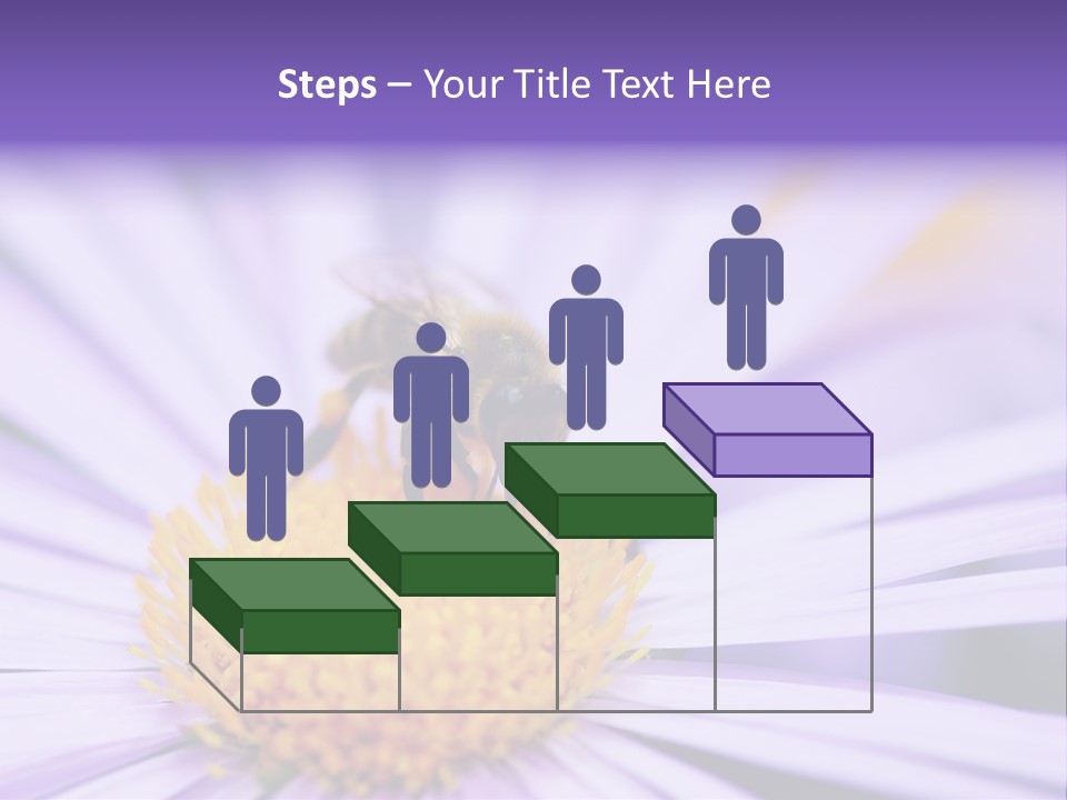 Summer Colorful Calceolaria PowerPoint Template