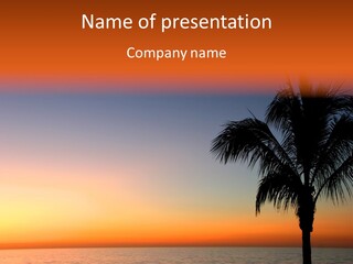 Tropical Florida Glimmer PowerPoint Template