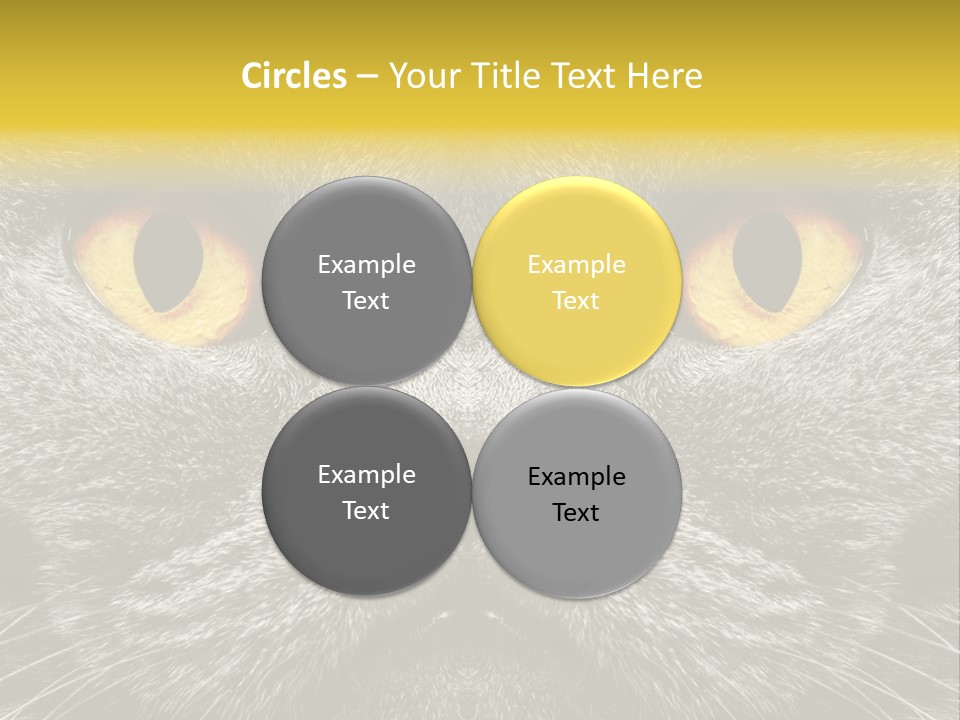 Pussy Purr Lovable PowerPoint Template