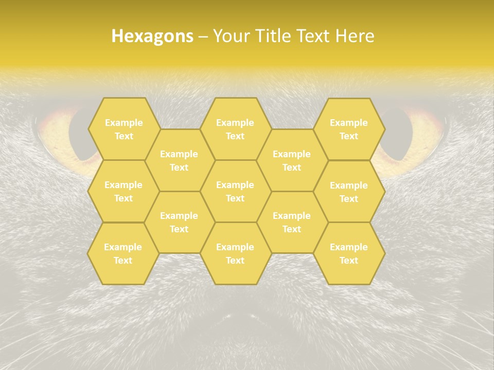 Pussy Purr Lovable PowerPoint Template