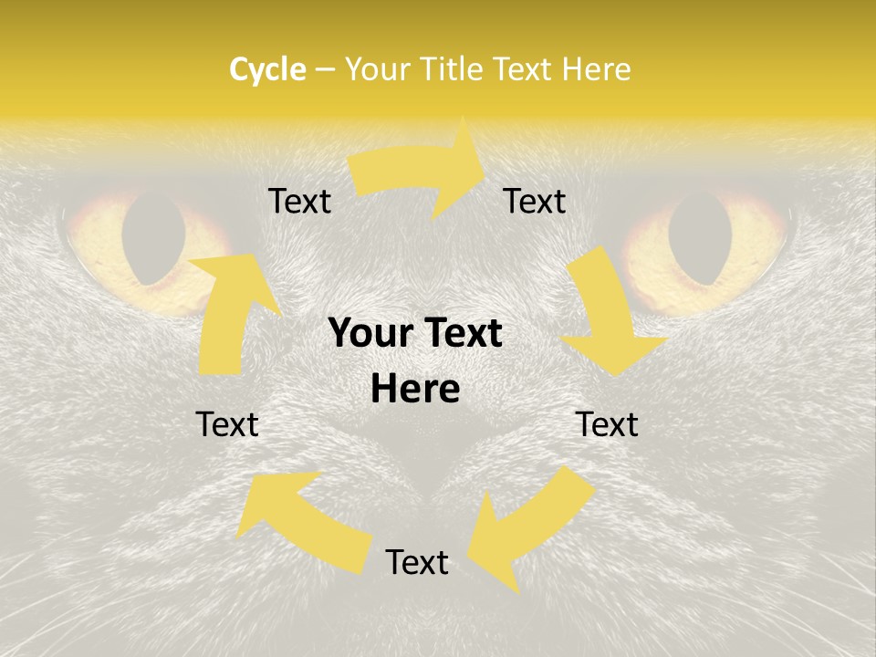 Pussy Purr Lovable PowerPoint Template