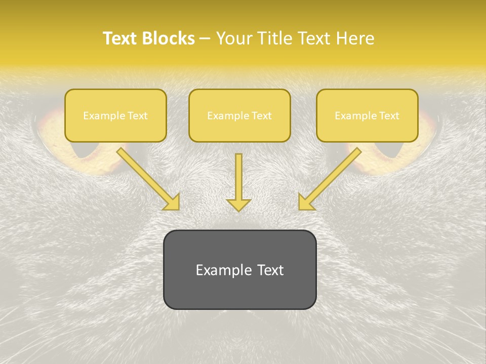 Pussy Purr Lovable PowerPoint Template