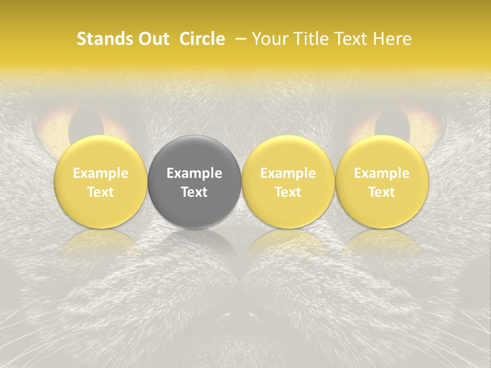 Pussy Purr Lovable PowerPoint Template