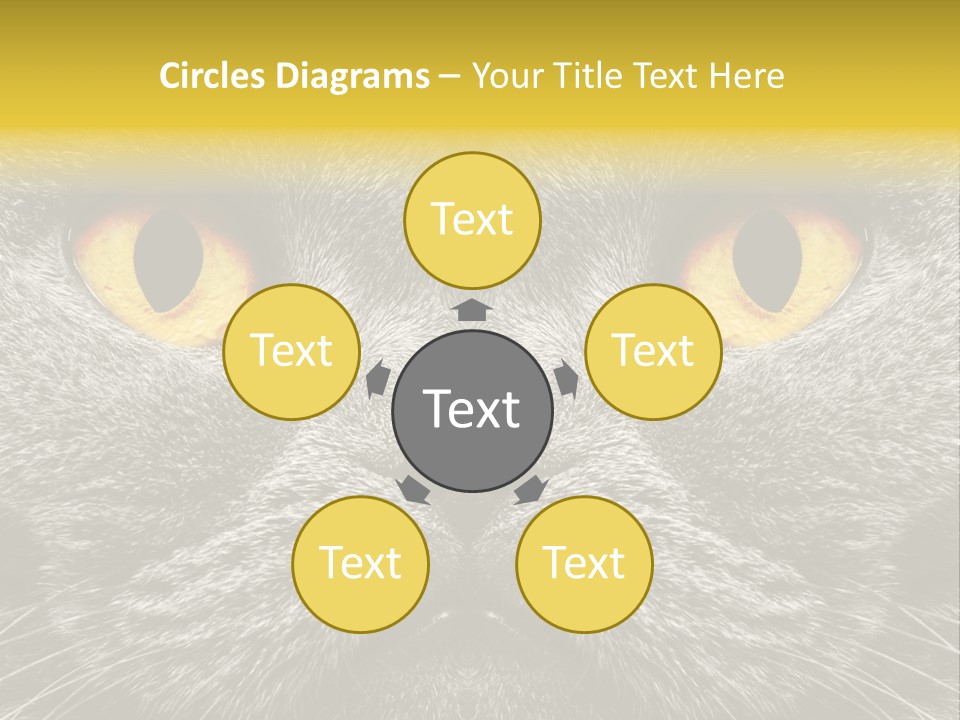 Pussy Purr Lovable PowerPoint Template