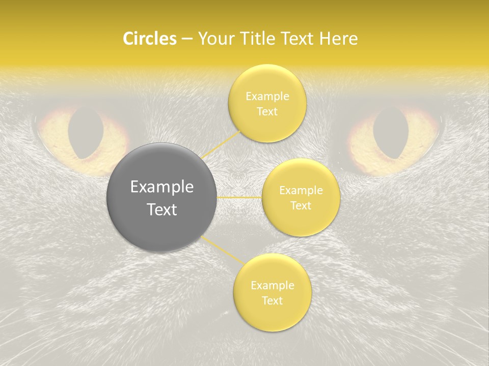 Pussy Purr Lovable PowerPoint Template