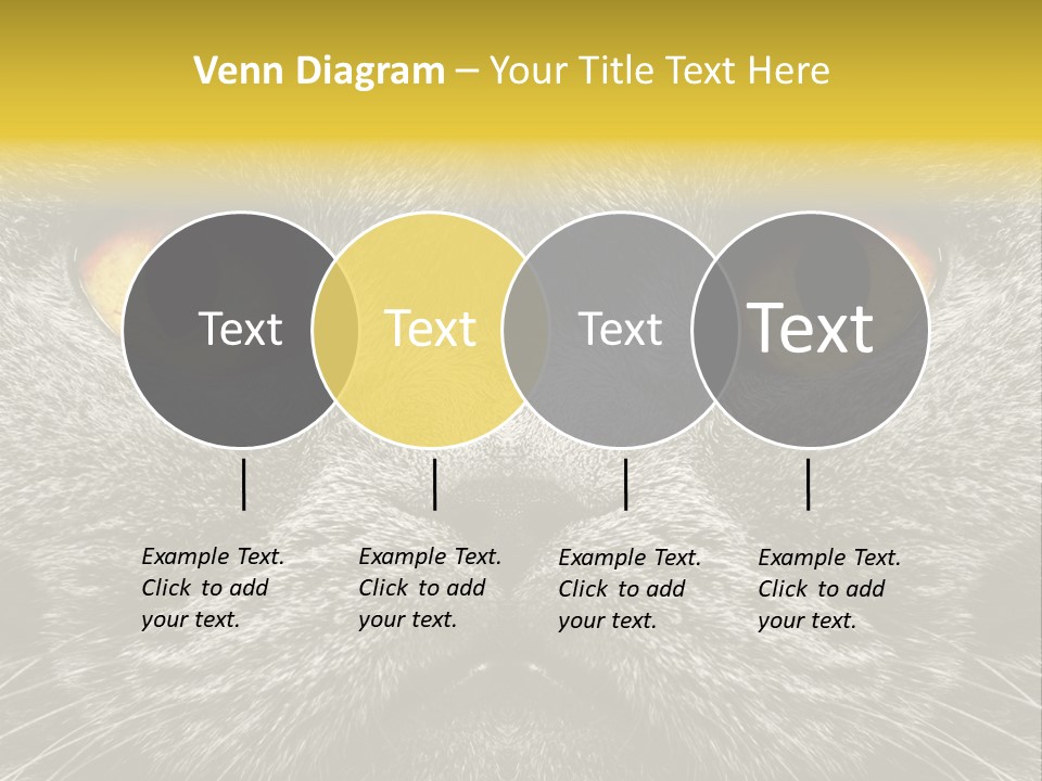 Pussy Purr Lovable PowerPoint Template