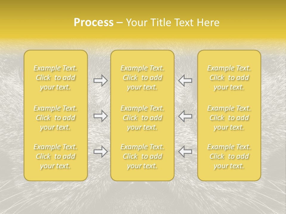 Pussy Purr Lovable PowerPoint Template