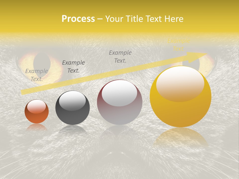 Pussy Purr Lovable PowerPoint Template