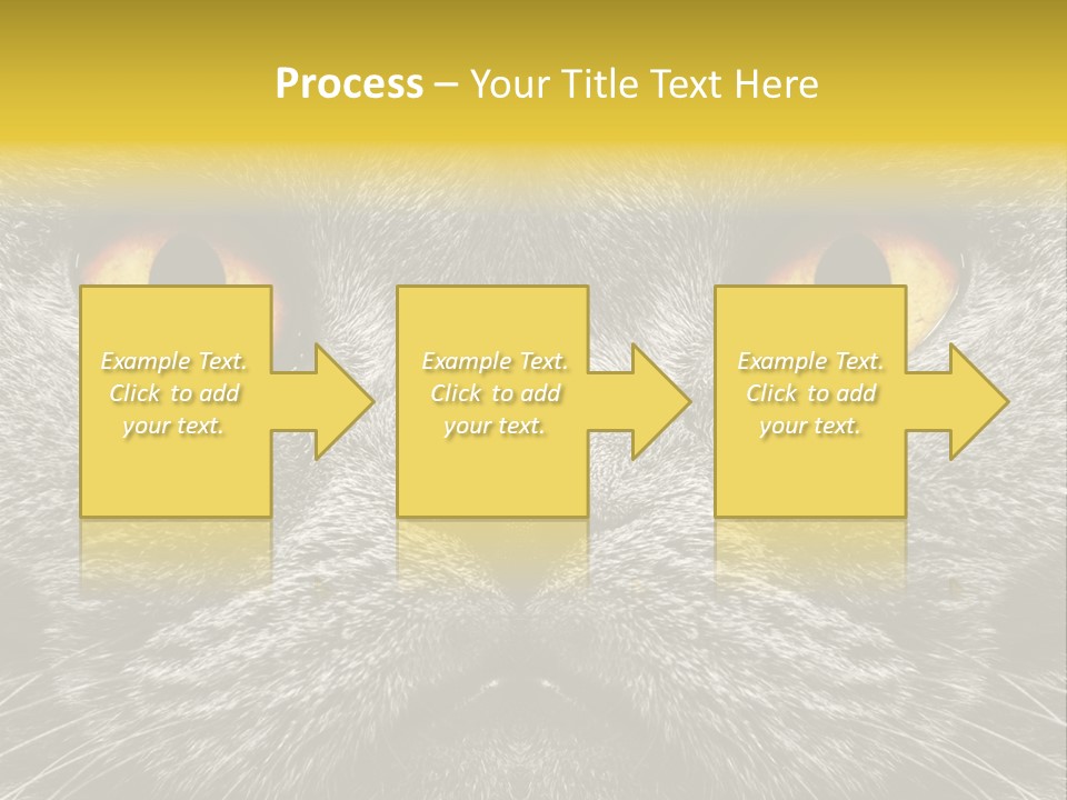 Pussy Purr Lovable PowerPoint Template