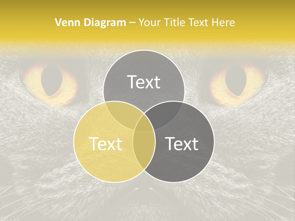 Pussy Purr Lovable PowerPoint Template