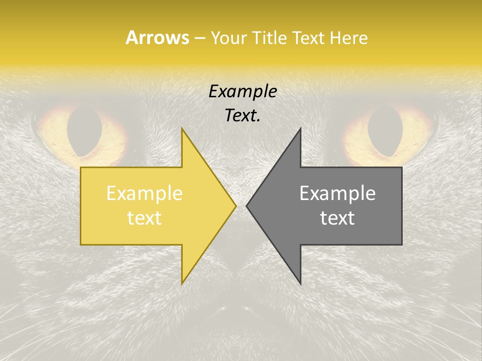 Pussy Purr Lovable PowerPoint Template