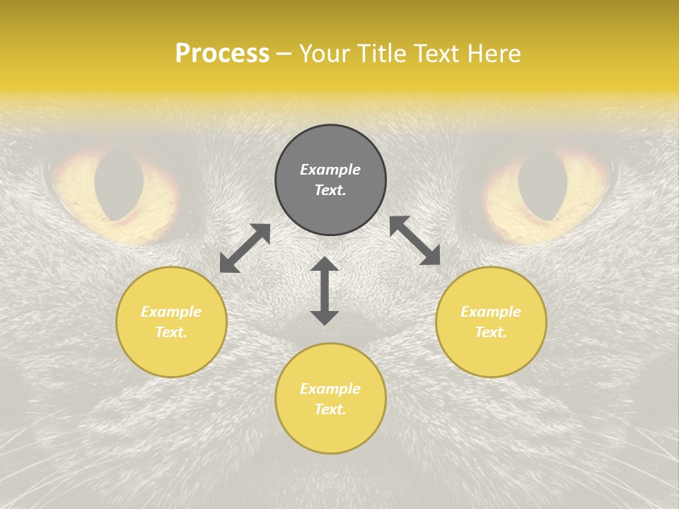 Pussy Purr Lovable PowerPoint Template